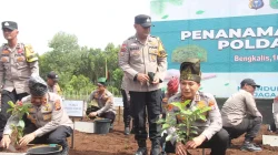 Bupati Bengkalis Tanam Pohon dan Tebar Ikan di Kampar, Simbol Cinta untuk Alam