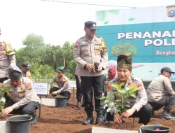 Bupati Bengkalis Tanam Pohon dan Tebar Ikan di Kampar, Simbol Cinta untuk Alam